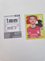 Panini Sticker EGY9