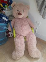  groß Teddybär