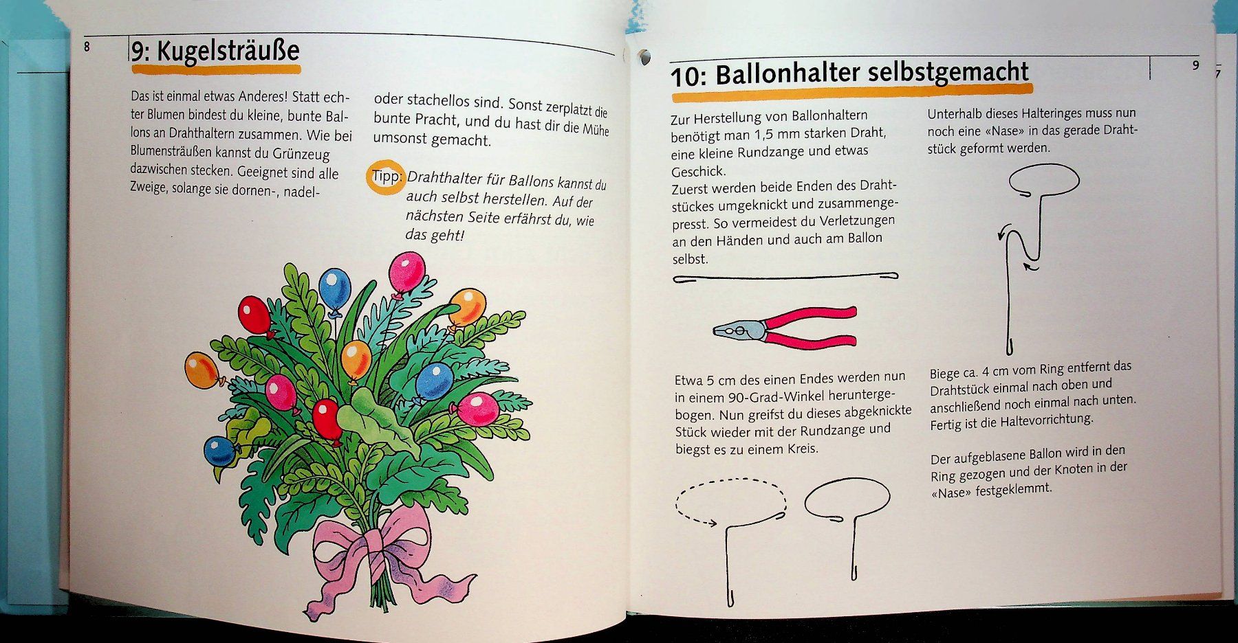 Libri: Birgit Fuchs Das Luftballonbuch  54 Spiel- und Bastelideen – Usato da Reitnau venduto da Zaomir 4