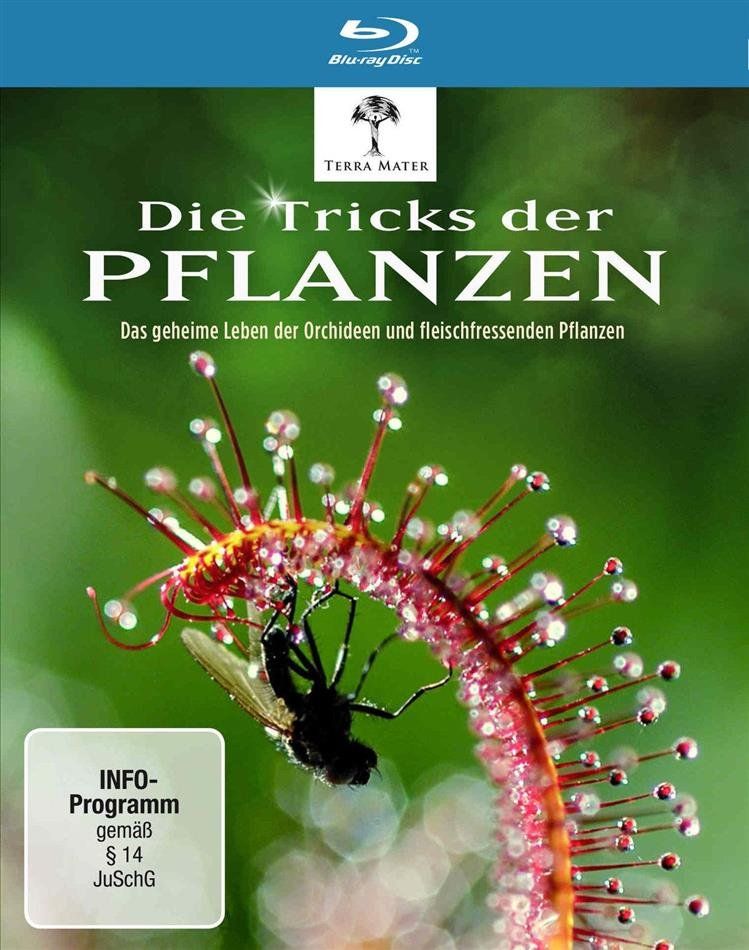 Tutti i DVDs: Die Tricks der Pflanzen (Blu-Ray) – Nuovo (secondo la descrizione) da Bern venduto da Frebo