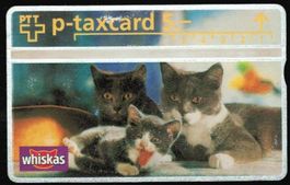 Taxcard 403L_46001 Whiskas 3 Katzen ungebraucht