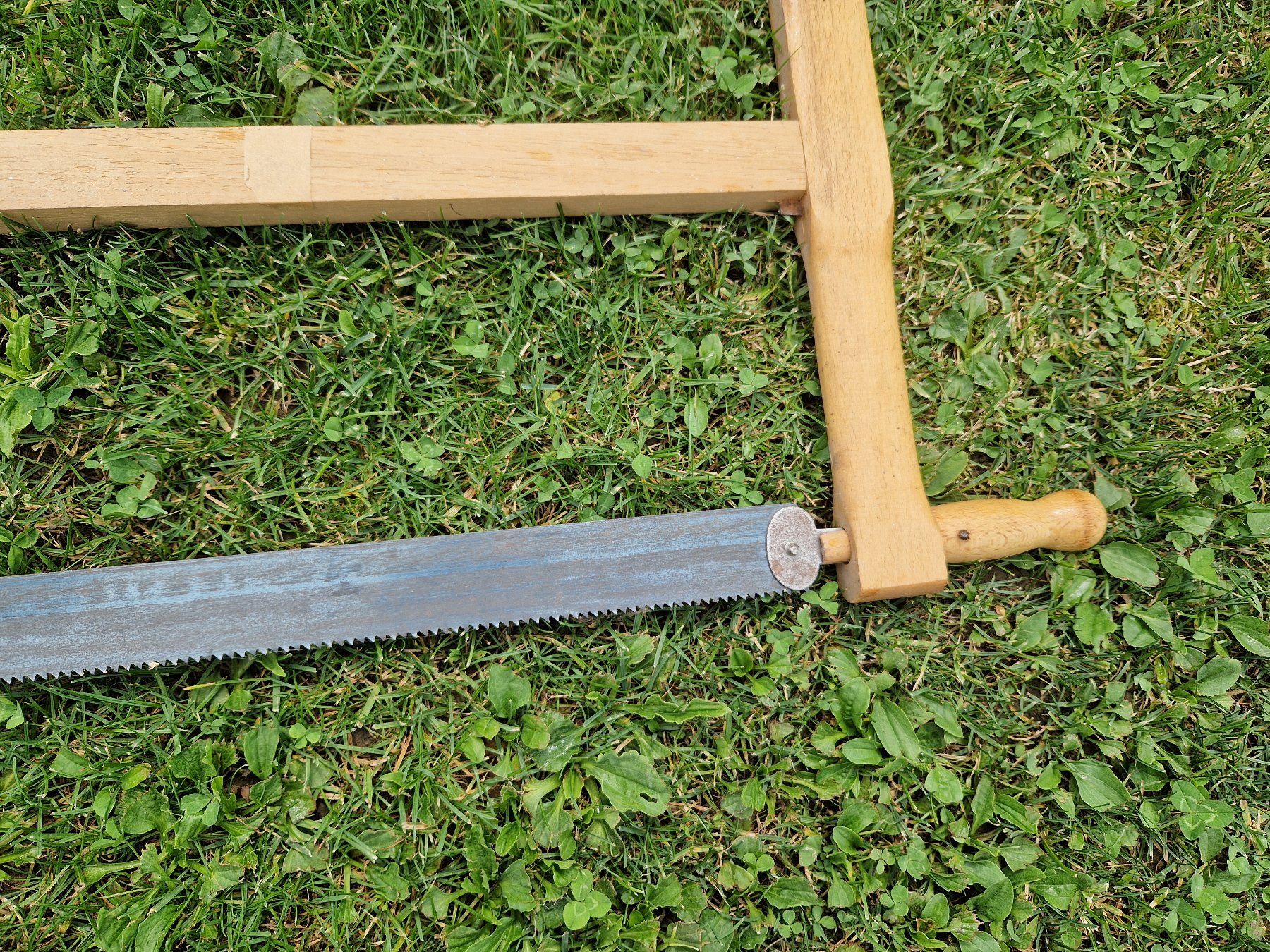 Seghe: Alte Hand Säge Holz Gespannt mit Drat – Usato da Niederbipp venduto da Trude04 3