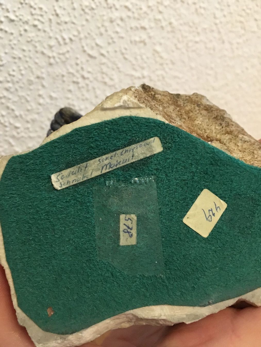 Fossili: Stein Vogel,RAR, Sodalit,Baryt? – Usato da Worb venduto da Tyra07 4