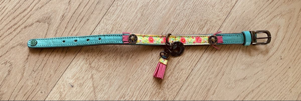 Guinzagli & Collari: Halsband echt Leder – Nuovo (secondo la descrizione) da Hettlingen venduto da Timba02