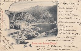 Grimsel - Hospiz  BE  mit Edelweiss      um 1 9 0 3