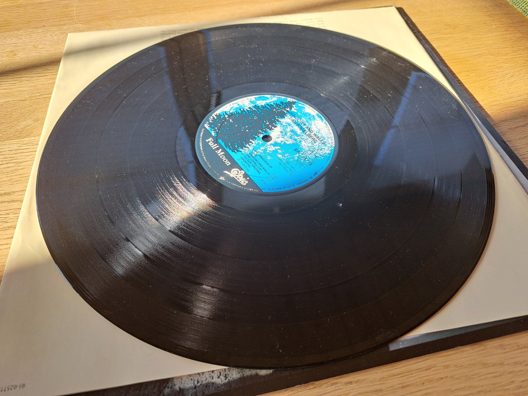 Dischi in vinile: Dan Fogelberg - Windows and walls – Usato da Meggen venduto da Ricardokoch 2