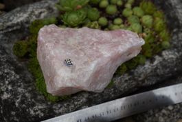 Rosenquarz     Rohstück  610g     Topstone  ab  5.-