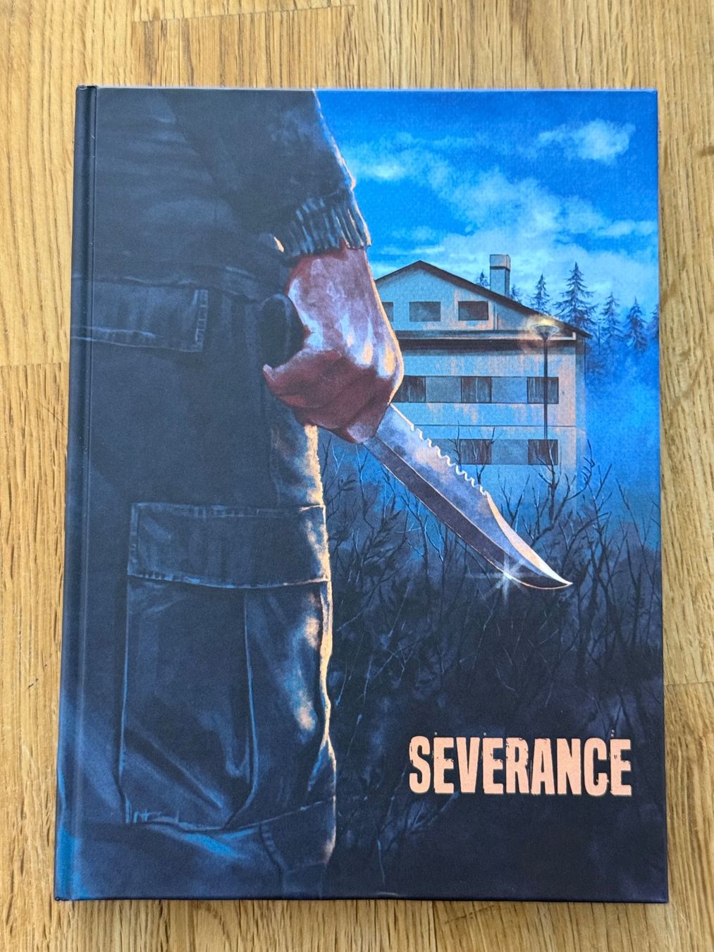 Tutti i DVDs: Severance Limited Edition, Mediabook, Blu-ray + DVD – Usato da Oftringen venduto da CatchMeIfYouCan68