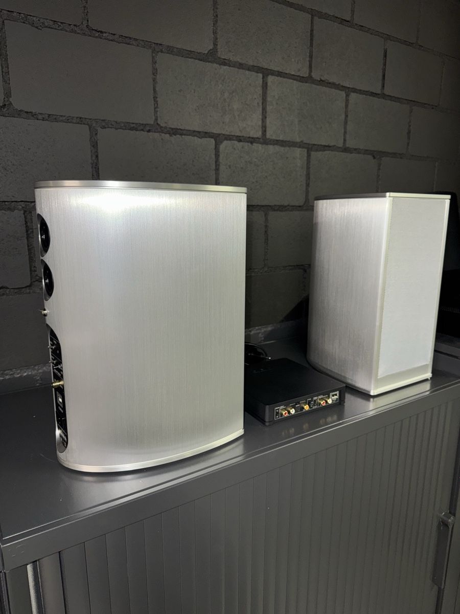 Piega Casse acustiche: Piega Premium 301 inkl.Piega CONNECT – Usato da Wetzikon ZH venduto da B-Os 2