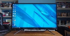 Philips Momentum 43” 4K HDR1000 / DEFEKT, nur Monitor