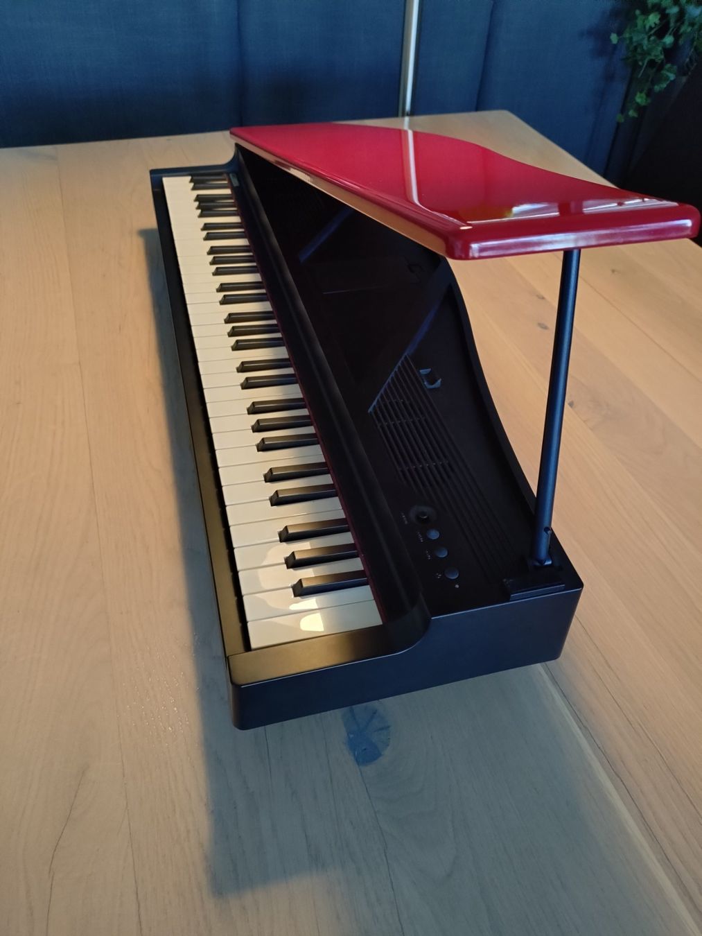 Korg Strumenti musicali: Korg MicroPiano – Usato da Aegerten venduto da vou_89zl 4