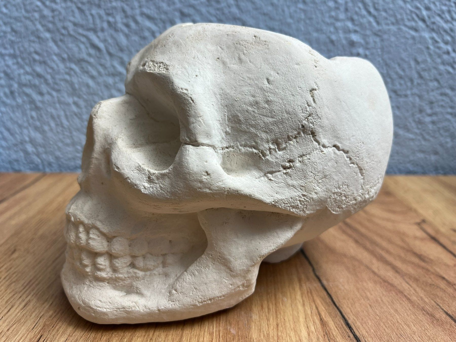 Tutte le decorazioni: Totenkopf - Aschenbecher oder Deko – Usato da Oberrieden venduto da Denadai64 1