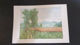 Bild  Original von Ruedi Tanner