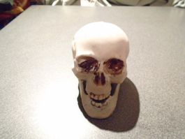 Totenkopf