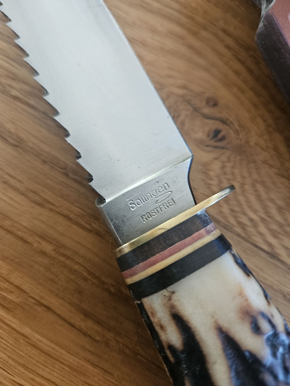 Solingen Accessori: Messer Solingen Rostfrei Hirschhorn – Usato da Bern venduto da Respirit 5