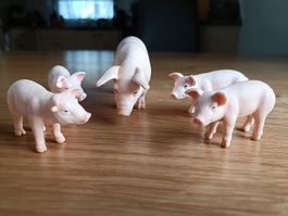 Schleich Schweine Familie, 5 Stk, Top Zustand,