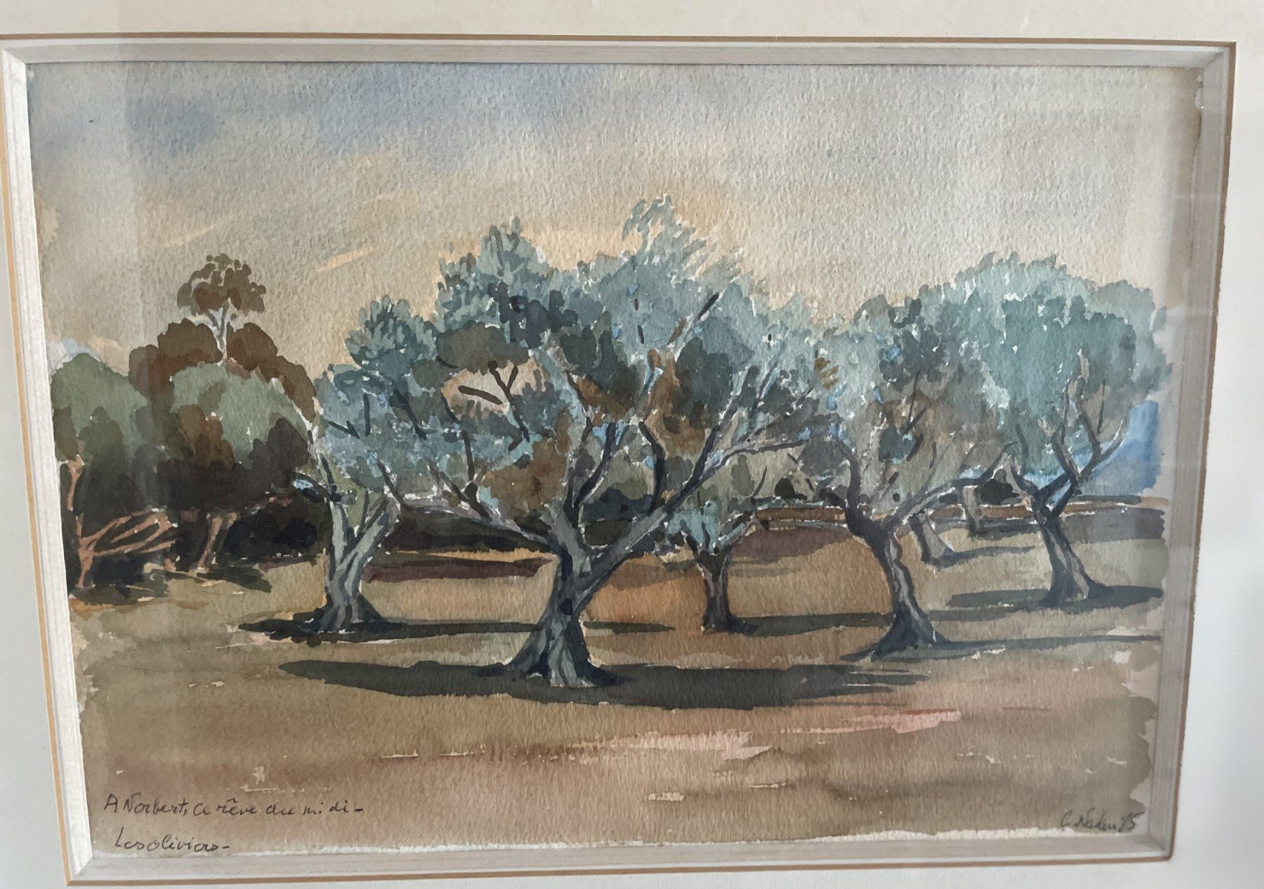 Dipinti: Schönes Originales Aquarellgemälde eines Olivenhains – Usato da Gretzenbach venduto da Aktion6 1