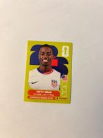 Panini Sticker USA12