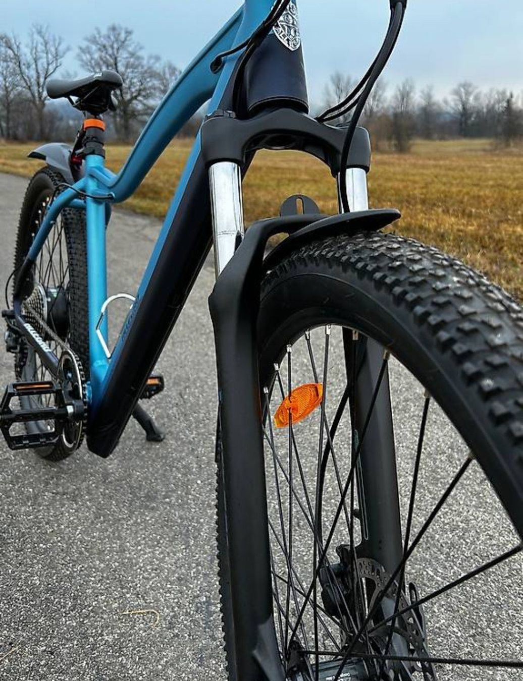 Biciclette: Allegro E-Mountainbike 25kmh – Nuovo (secondo la descrizione) da Plaffeien venduto da gsxr88 4