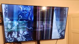 TV 98 Zoll TCL 98C735