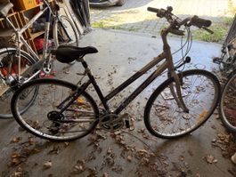 Velo Giant, revision necessaire 