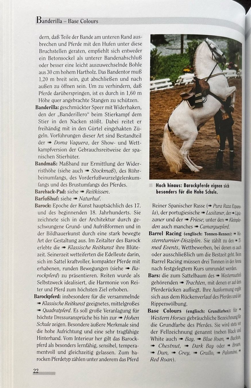 Libri: Freizeitreiten von A-Z – Nuovo e nell'imballaggio originale da Sarnen venduto da Livres 3