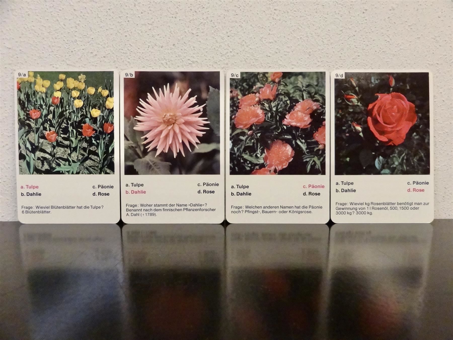 Giochi: altes Quartett BLUMEN-QUARTETT BLUMEN – Usato da Kerzers venduto da wisaundso 9