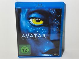 Avatar - Aufbruch nach Pandora Blu Ray