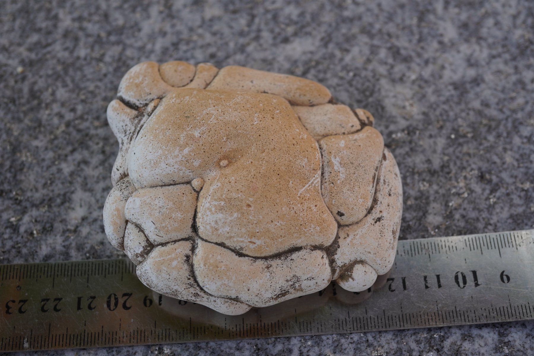 Minéraux & Lithothérapie: Feenstein XL    9cm      WOW    (1) – Neuf avec emballage d'origine à Eschenbach SG par topstone 5