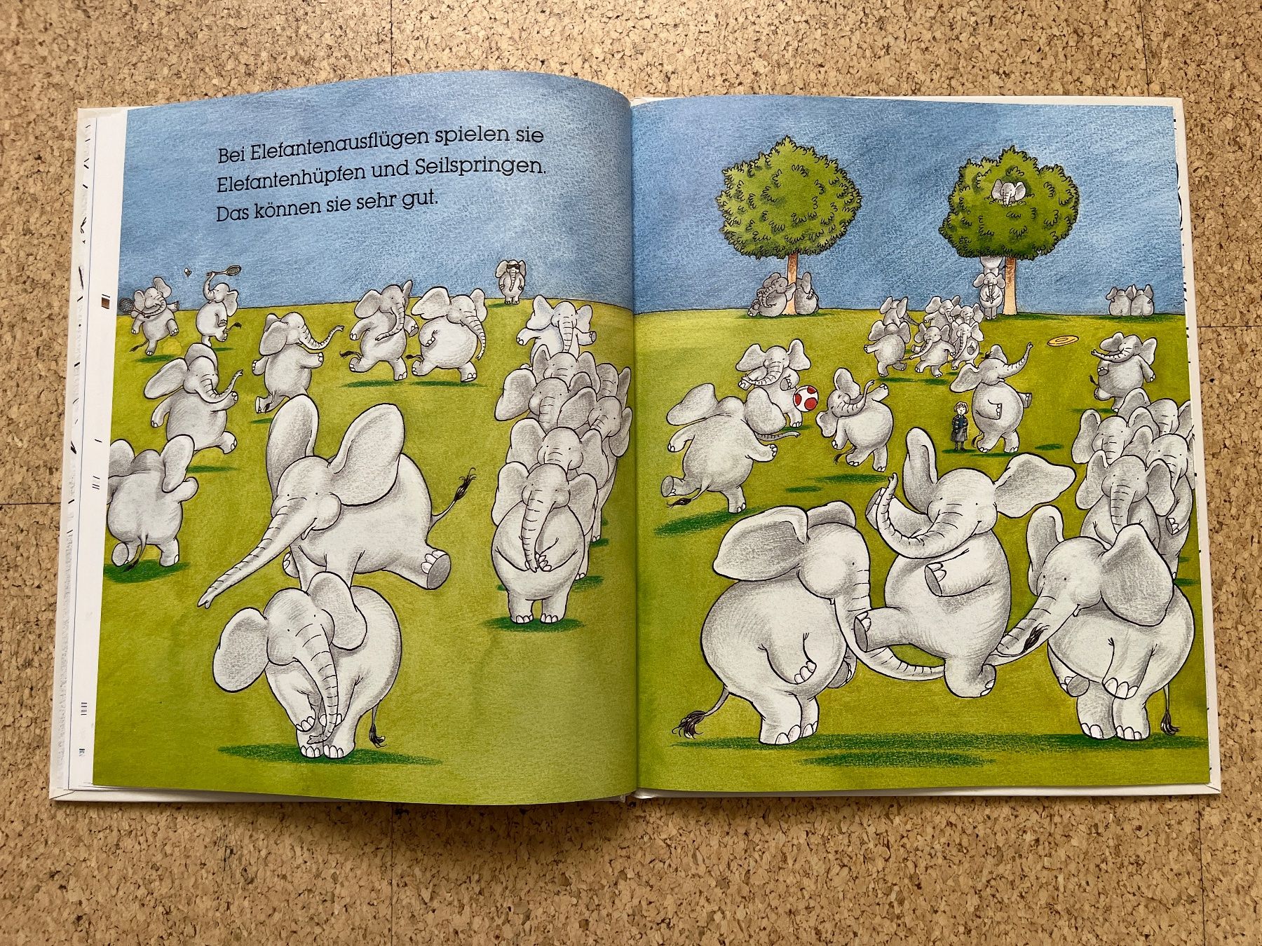 Libri: Bilderbuch "Immer Ärger mit den Elefanten", Ch. Riddell – Usato da Grosswangen venduto da Vita500 5