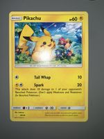 Shiny Pikachu Halloween Event Hat - Pokémon GO - Registered or Not Registered