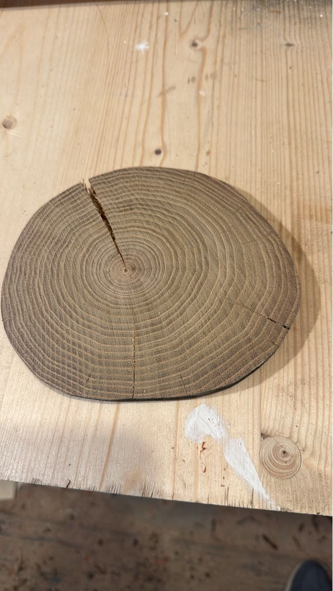 Articoli in legno: Rustikale Holzscheibe, Robinie  – Usato da Brunnen venduto da Holz-style