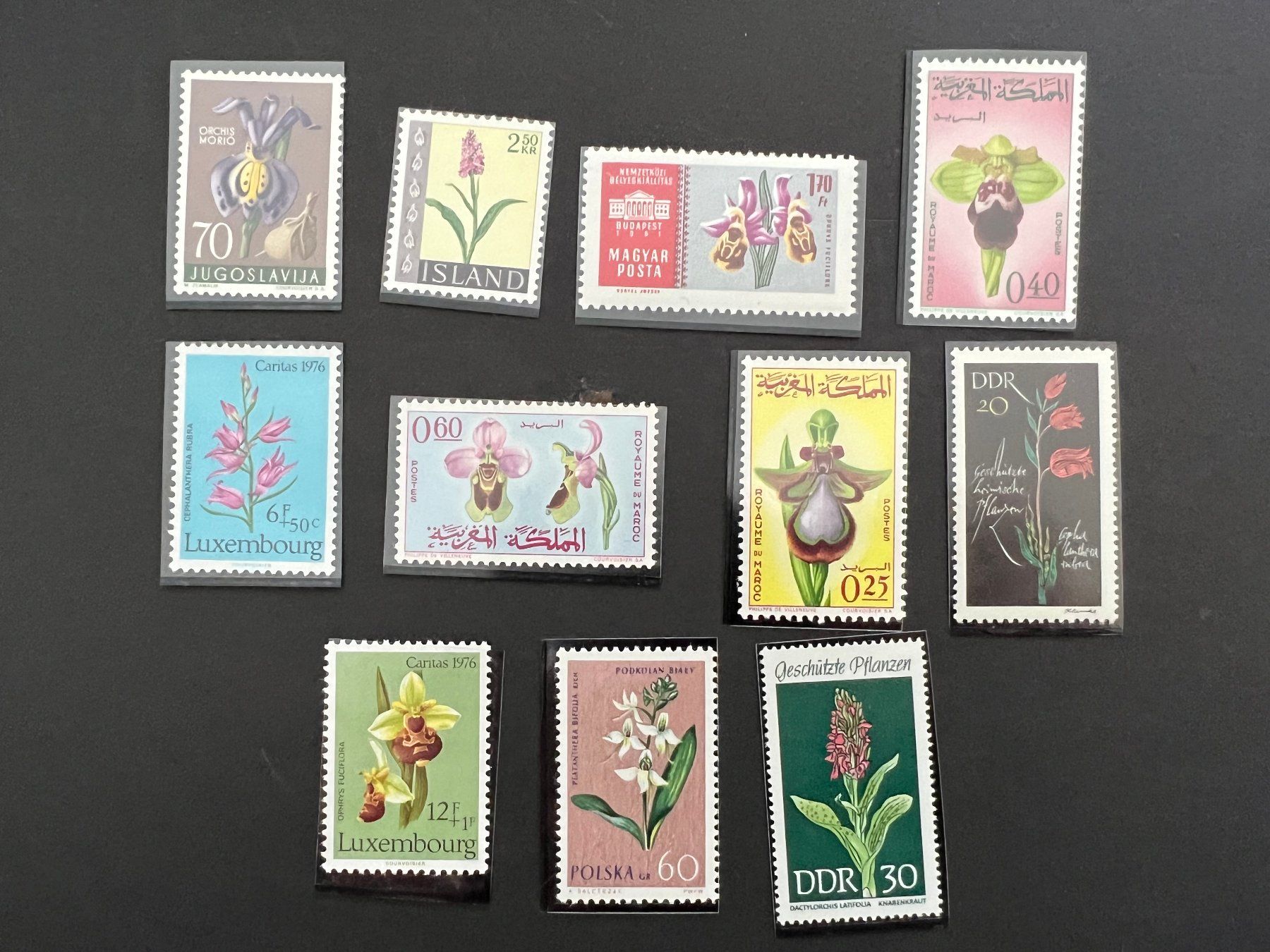 Tutti i francobolli: Orchideen diverse Länder** Luxus (B211) – Usato da Hinwil venduto da Sidi4
