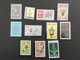 Orchideen diverse Länder** Luxus (B211)