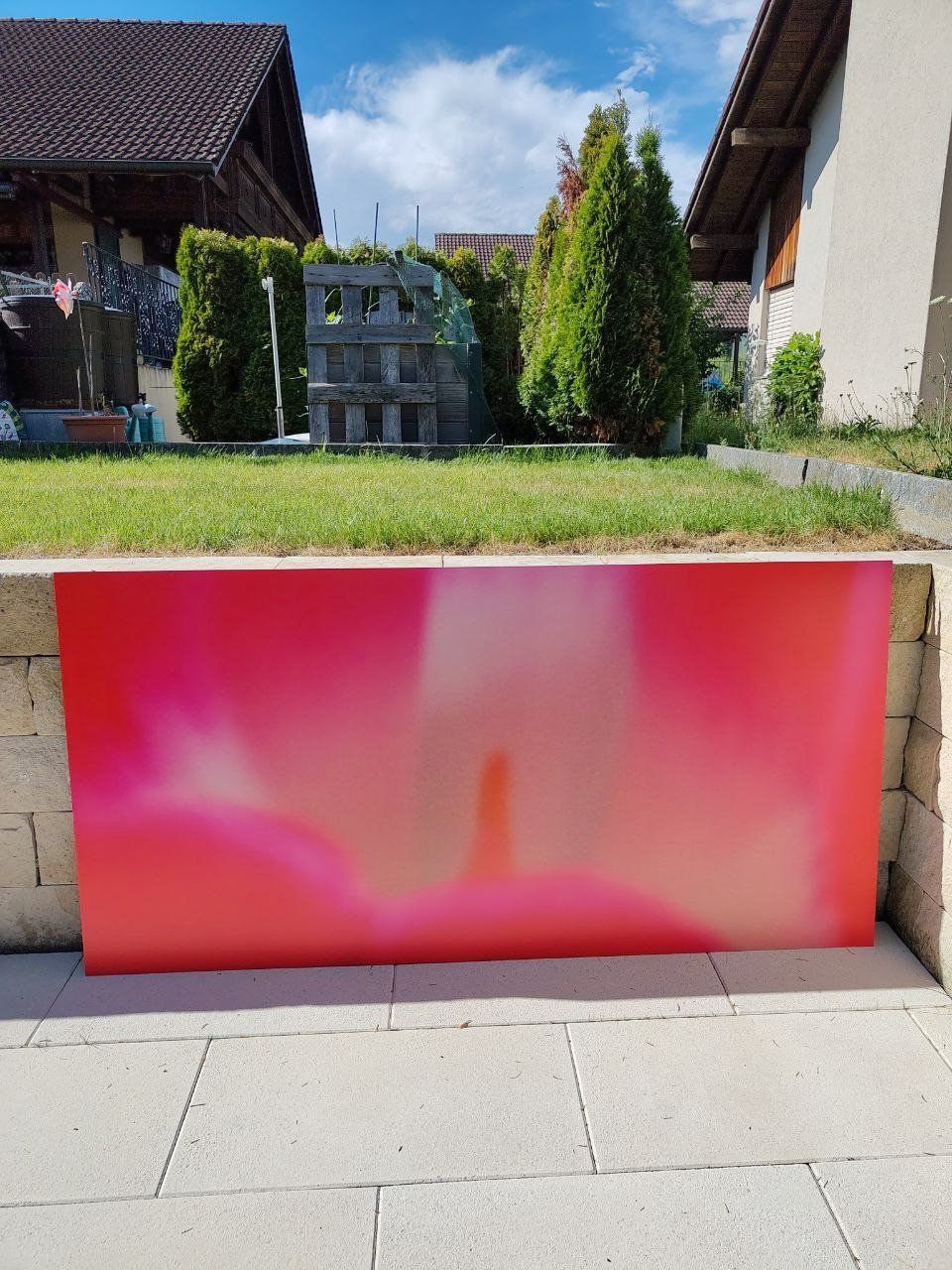 Posters & Illustrations: Bilder – D'occasion à Beinwil am See par Msunneschin 2