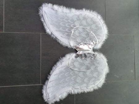 Flügel Kostüm