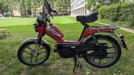Pony 503 mit Ausweis 