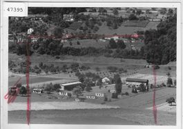 Weinfelden HNL-Zuchtbetrieb - Photo: 90x120mm m. Negativ
