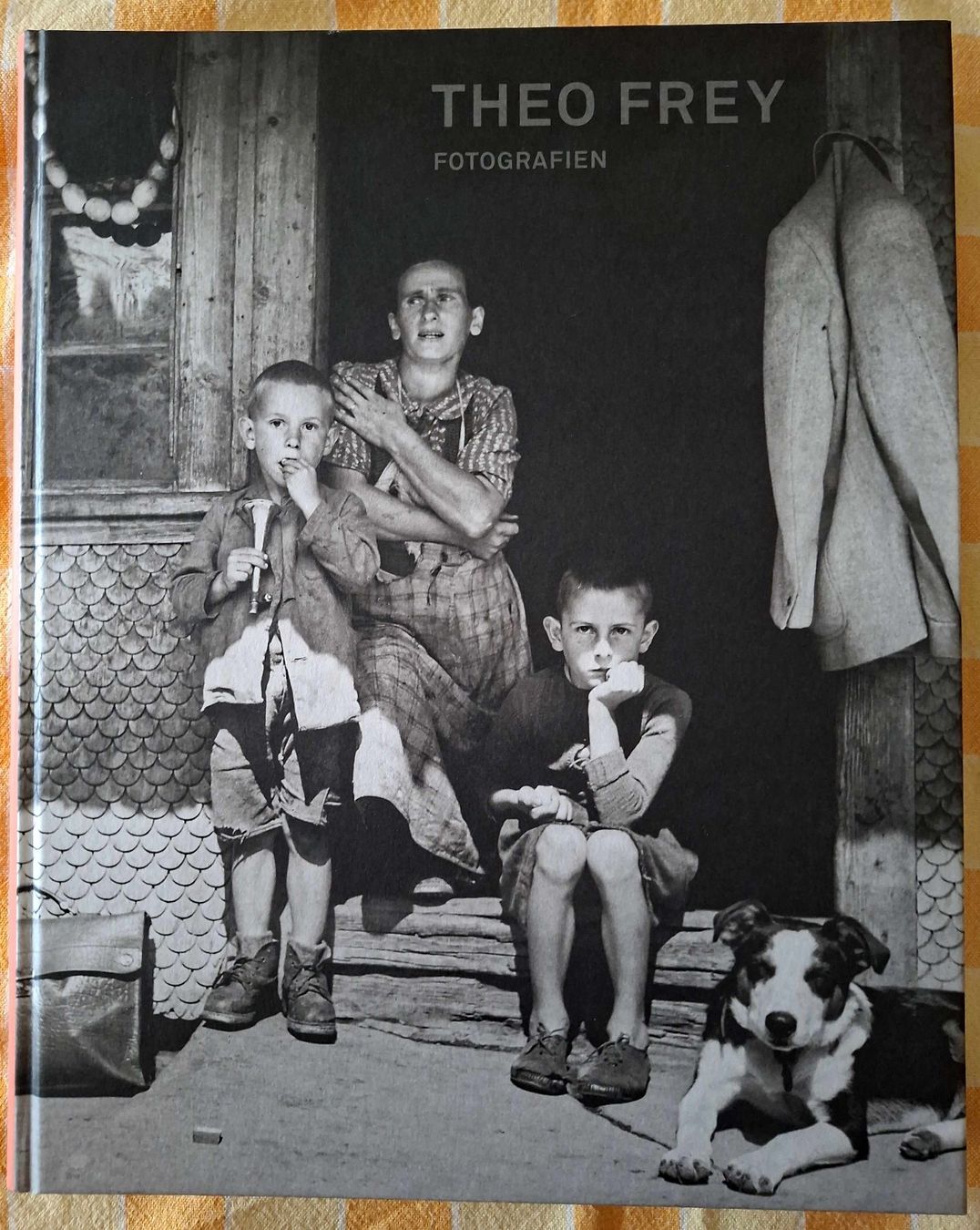 Libri: THEO FREY Fotografien – Usato da Seuzach venduto da wie_c66v