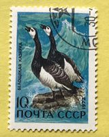 Briefmarken aus Sowjetunion (CCCP) gestempelt  