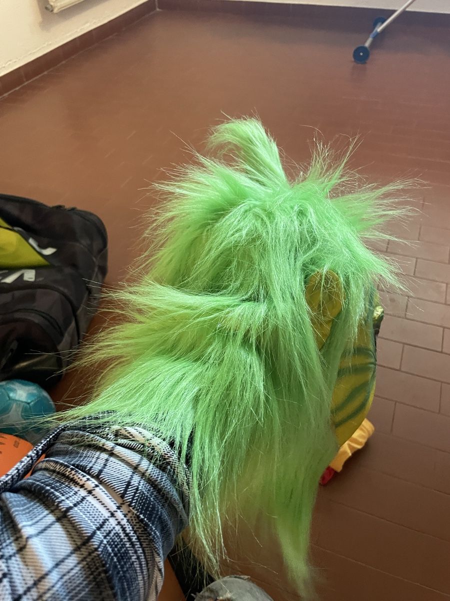 Maschere: Grinch Maske, Halloween – Usato da Uster venduto da chlini1983 2