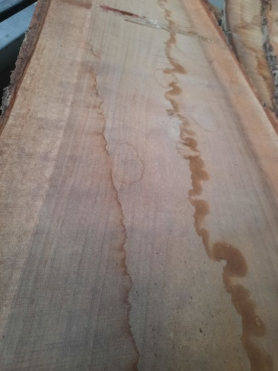 Articoli in legno: Nussbaum Klotzbretter-Stamm – Usato da Chur venduto da ivon68 3