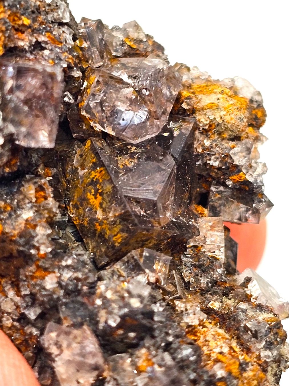Mineralien & Heilsteine: Fluorite Weardale, County Durham, England, UK – Gebraucht aus Figino von panshop 6