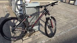 Top Hardtail Mountainbike für Frühlings-Touren, Grösse L