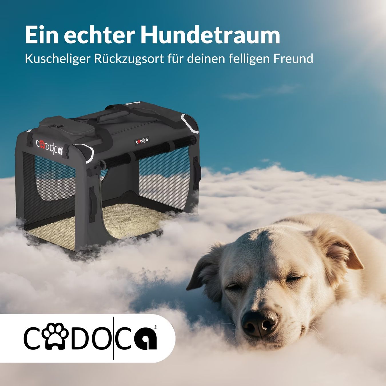 Cucce & Letti: Hunde Transportbox – Nuovo e nell'imballaggio originale da Bichelsee venduto da Andi790 1