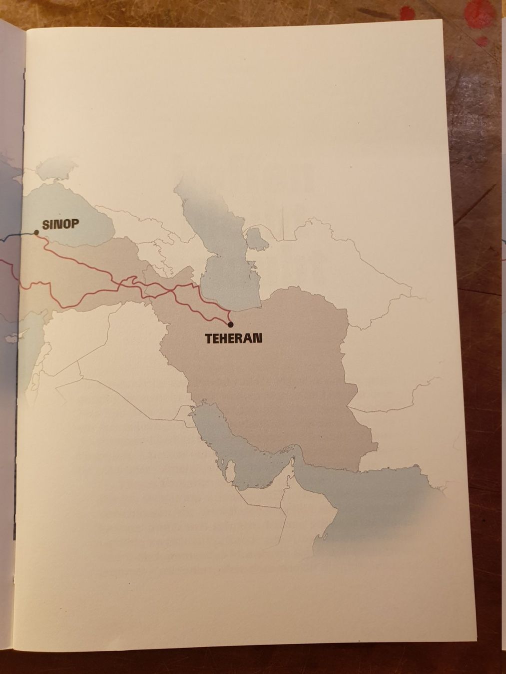 Libri: Hoffen bleibt erlaubt - Florian Wüstholz – Usato da Zürich venduto da loosebone 8