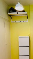 Porte-manteaux et porte-chapeaux HEMNES d'Ikea, blanc