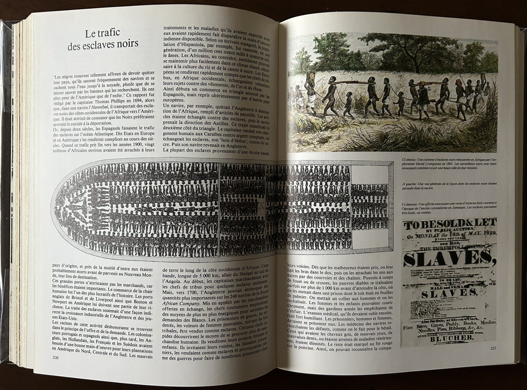 Libri: Collection Connaissance et Vie – Usato da Sonceboz-Sombeval venduto da Supercool1220 3