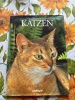 Katzenbuch von Marcus Schneck & Jill Caravan – Top Zustand!