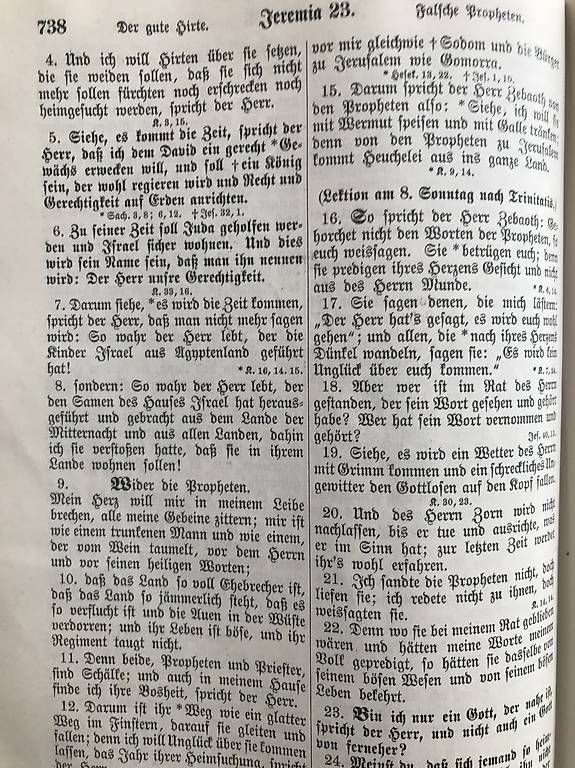 Livres: Die Heilige Schrift – D'occasion à schaffhausen par Munot100 4
